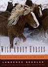 Wild About Horses...