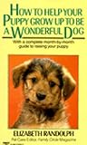 How to Help Your Puppy Grow up to Be a Wonderful Dog How to Help Your Puppy Grow up to Be a Wonderful Dog
