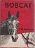 Bobcat