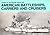 American Battleships, Carriers, and Cruisers