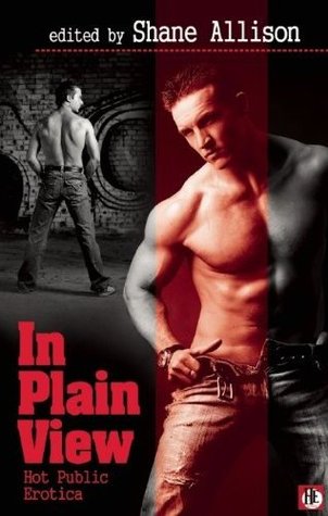 In Plain View (Paperback)