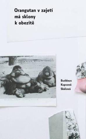 Orangutan v zajetí má sklony k obezitě