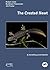 The Crested Newt: A Dwindling Pond Dweller