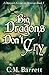 Big Dragons Don't Cry (A Dragon's Guide to Destiny, #1)