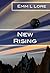 New Rising (Shifter Guild, #1)