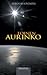 Toinen aurinko