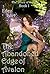 The Slivers of Avalon by Eden Tyler The Slivers of Avalon by Eden Tyler