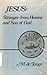 Jesus, Stranger from Heaven and Son of God: Jesus Christ and the Christians in Johannine Perspective (Sources for Biblical study)
