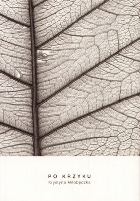 Po krzyku (Paperback)