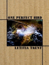 One Perfect Bird