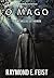 O Mago: As Trevas de Sethanon (The Riftwar Saga, #4)
