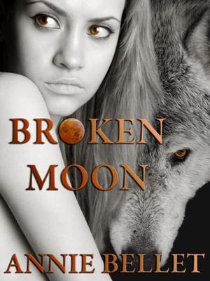 Broken Moon (Kindle Edition)