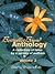 BestsellerBound Short Story Anthology - Volume 3 by Maria Savva