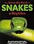 The Great Big Book of Snakes & Reptiles by Barbara Taylor