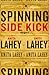 Spinning Side Kick by Anita Lahey