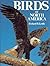 The Birds of North America