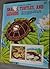 The Golden Stamp Book of Snakes, Turtles, and Lizards by Hobart M. Smith