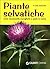 Piante selvatiche. Come riconoscerle, raccoglierle e usarle in cucina