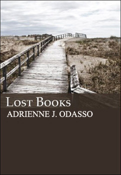 Lost Books (Paperback)