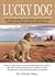 Lucky Dog
