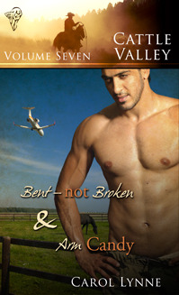 Cattle Valley Vol. 7 (Cattle Valley, #13-14)