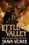 Little Valley by Shawn Weaver