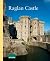 Raglan Castle (CADW Guidebo...