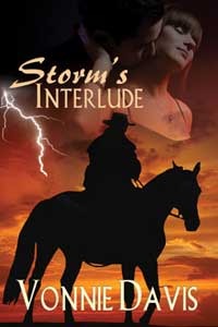 Storm's Interlude (ebook)