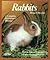 Rabbits: Everything about P...