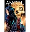 Angel by Scott Lobdell
