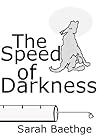The Speed of Darkness by Sarah Baethge