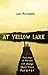 At Yellow Lake by Jane  McLoughlin