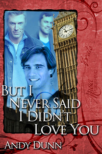 But I Never Said I Didn't Love You