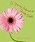 A Young Woman's Quote Book