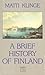 A Brief History of Finland