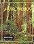Muir Woods: The Ancient Redwood Forest Near San Francisco