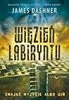 Więzień labiryntu