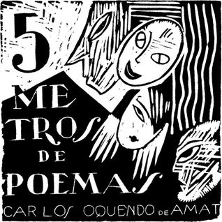 5 metros de poemas (Paperback)
