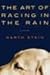 The Art of Racing in the Rain