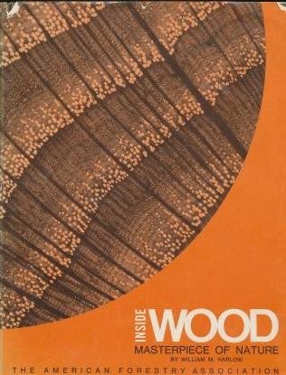 Inside Wood: Masterpiece of Nature