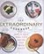 The Extraordinary Cookbook by Stefan Gates