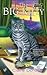The Big Kitty (Sunny & Shad...