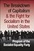 The Breakdown of Capitalism and the Fight for Socialism in the United States: Program of the Socialist Equality Party