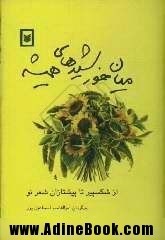 میانِ خورشیدهای همیشه: از شکسپیر تا پیشتازانِ شعرِ نو