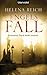 Engelsfall (David Andĕl, #2)