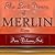 The Lost Years of Merlin Saga by T.A. Barron