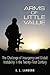 Arms of Little Value: The Challenge of Insurgency and Global Instability in the Twenty-First Century