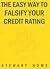 The Easy Way to Falsify Your Credit Rating