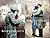 Kommandant's Girl / The Diplomat's Wife by Pam Jenoff