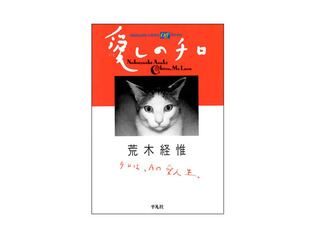 Download 愛しのチロ (Chiro, My Love)  Free Books Full Version